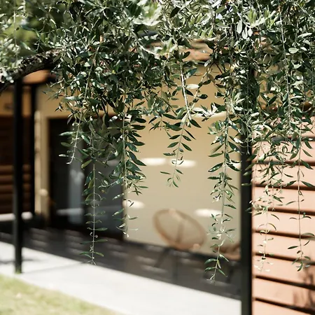 Hotel Meraki Luxury Rachoni (Thasos)