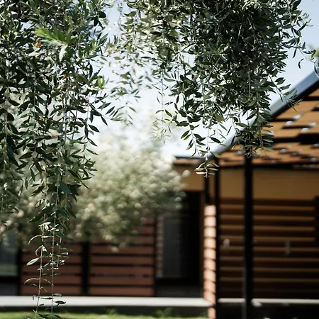 Meraki Luxury *
